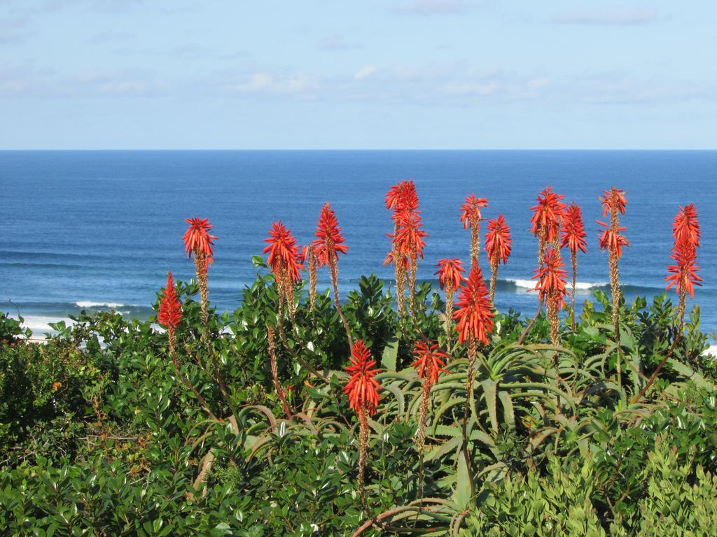 Melkhoutkloof Guest House Outeniqua Strand Eksteriør bilde